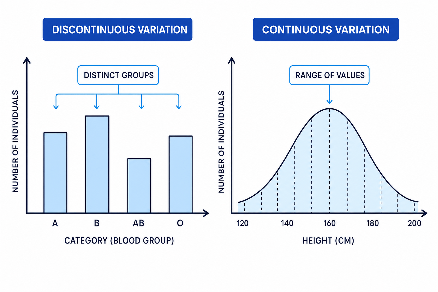Graphs comparing discontinuous variation in blood group with continuous variation in height