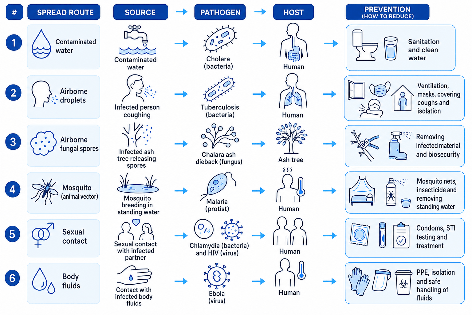 Schematic showing pathogen spread routes and prevention methods