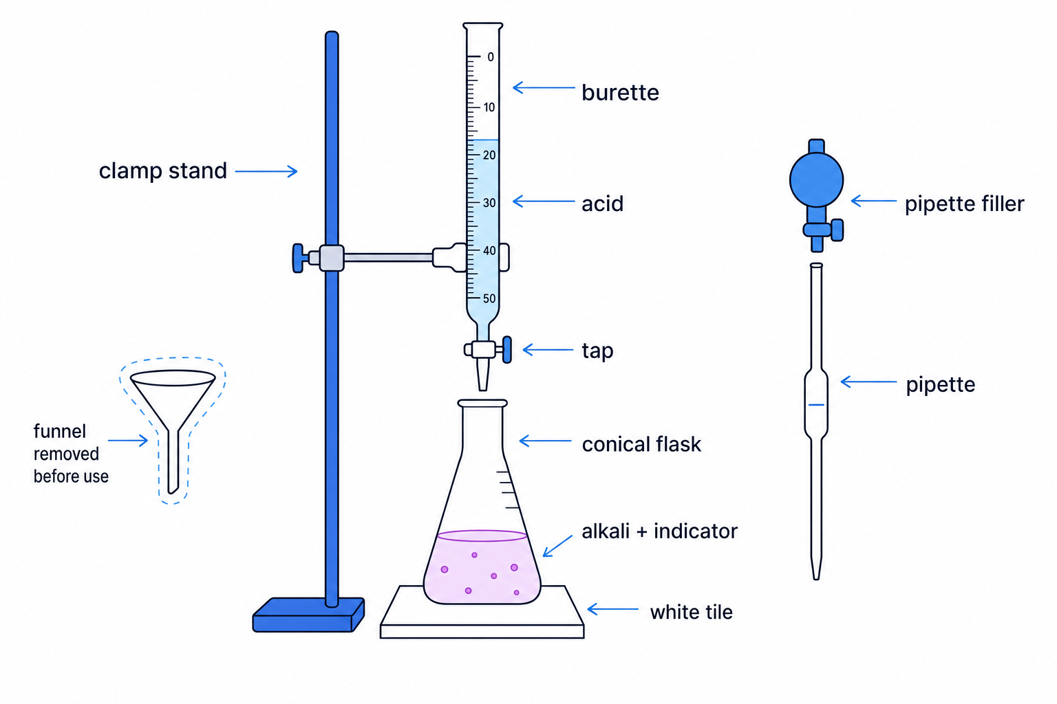 Labelled titration apparatus with burette, pipette, conical flask, indicator and white tile