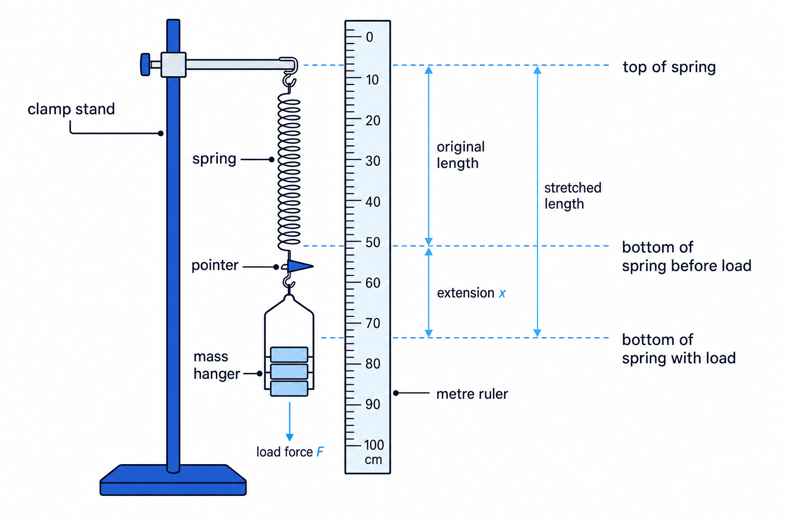 Spring extension practical setup with clamp stand, spring, masses, ruler, pointer and extension labelled