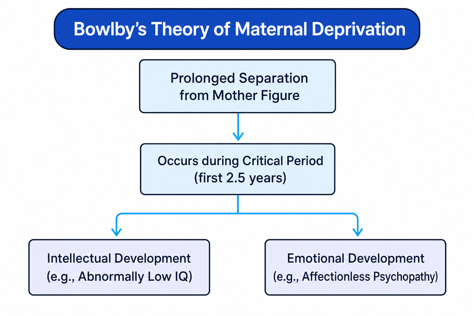 Bowlby's Theory of Maternal Deprivation Flowchart