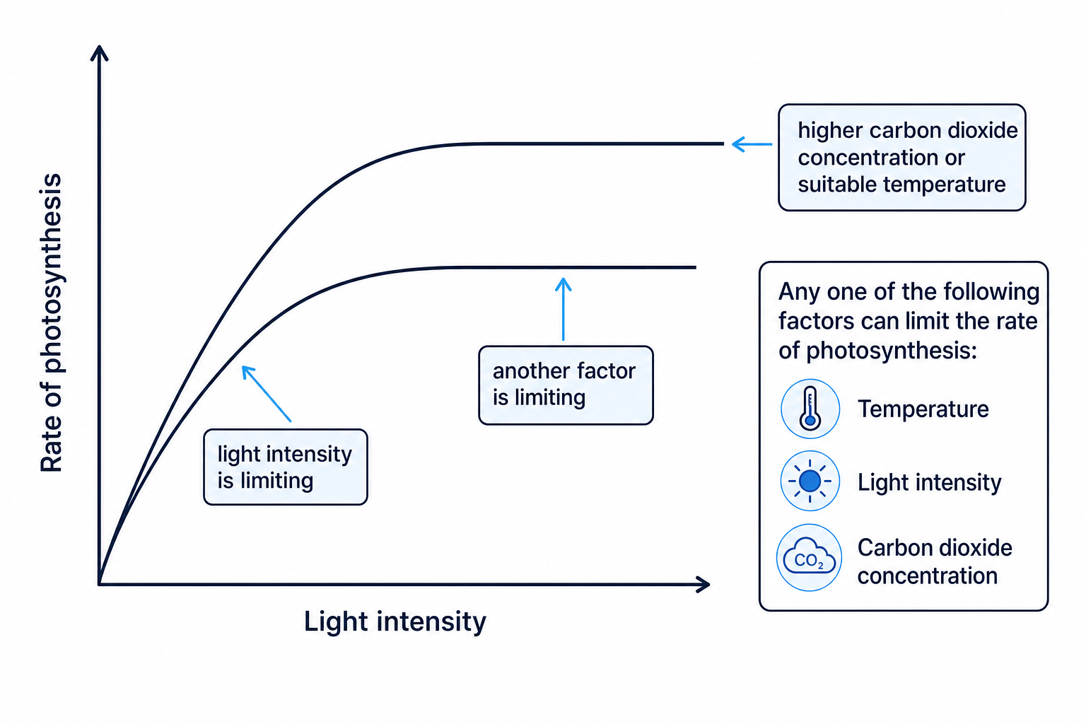 Graph showing light intensity as a limiting factor in photosynthesis