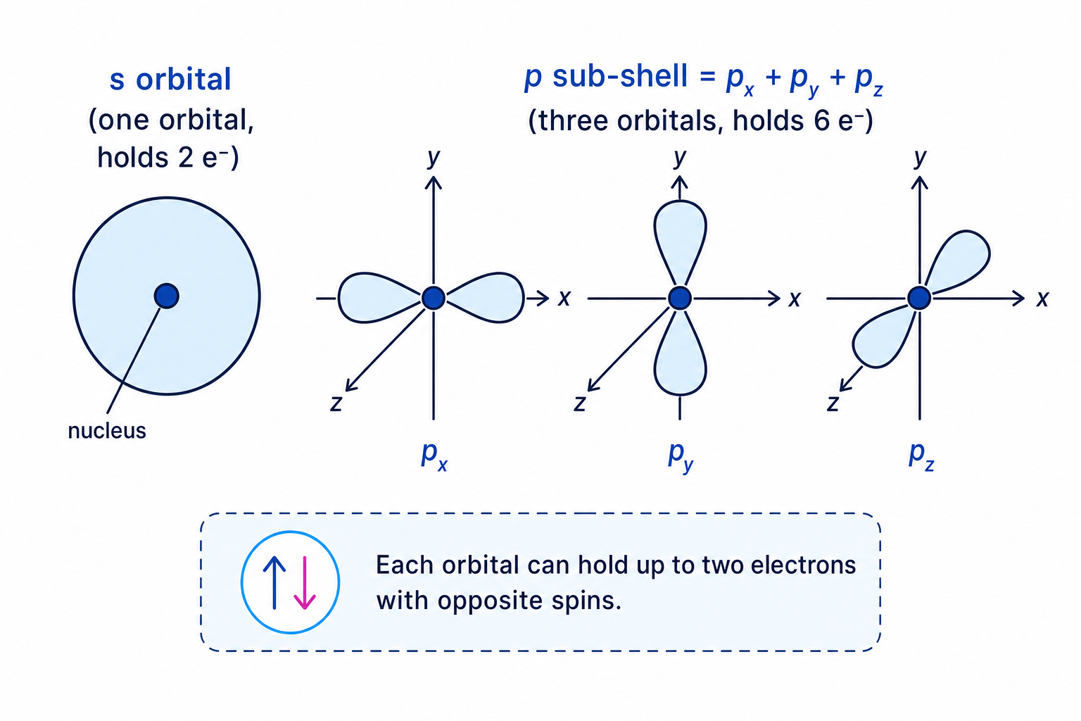 Diagram of s and p atomic orbital shapes