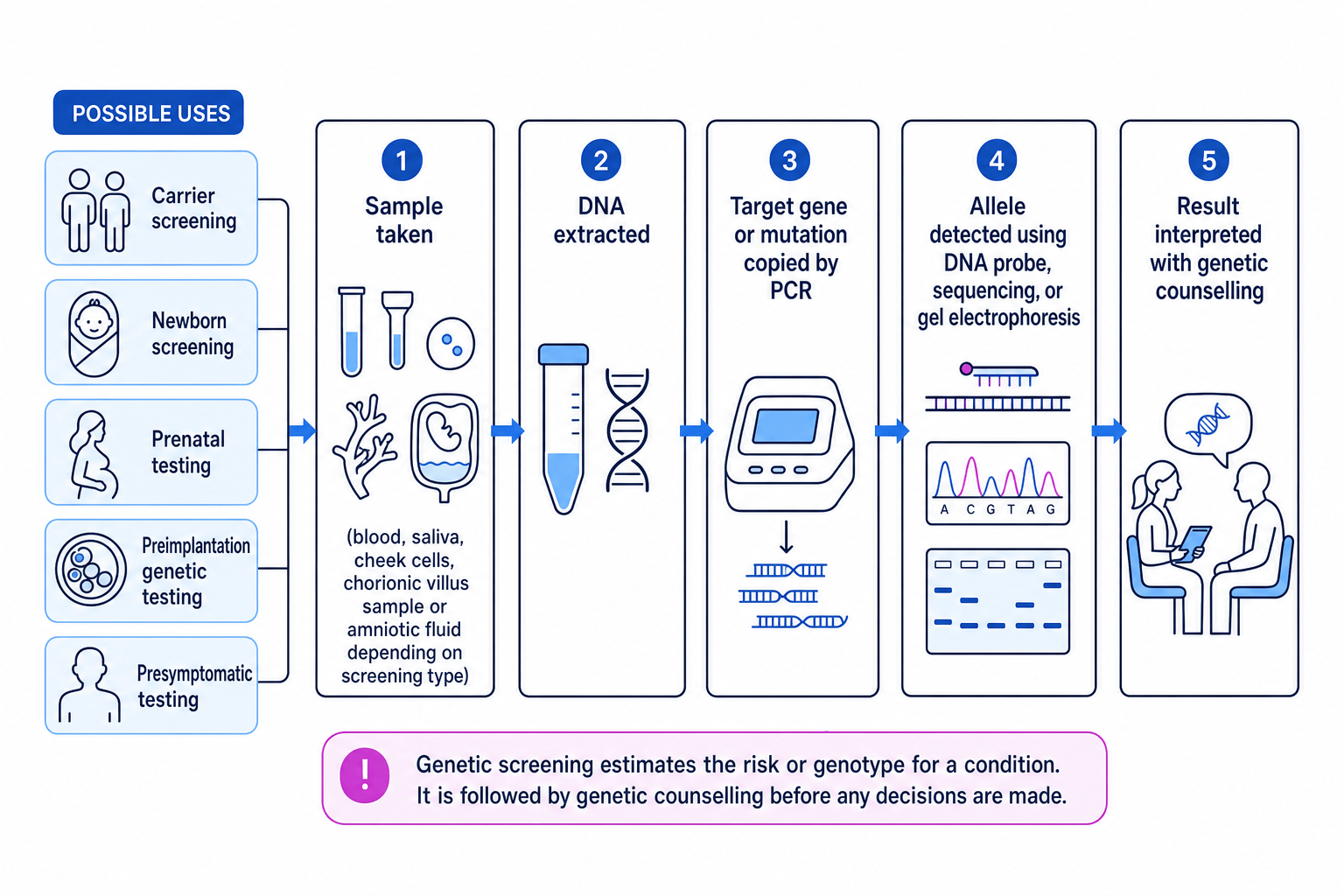 Flow diagram showing sample collection, DNA extraction, PCR, allele detection and counselling