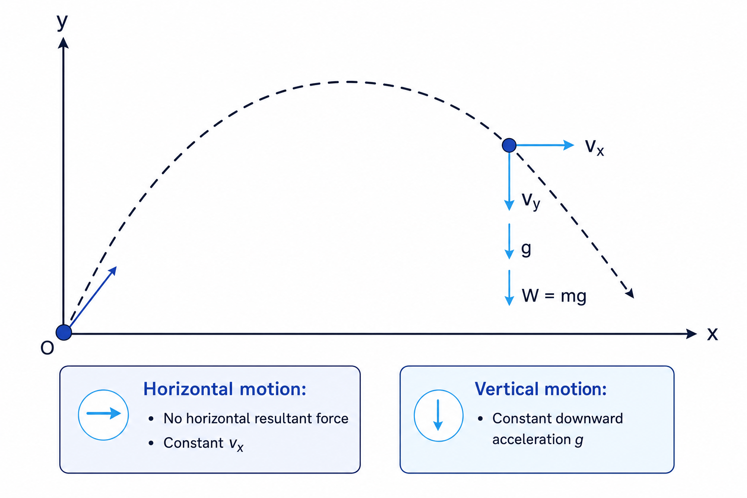 Projectile motion under weight only showing horizontal constant velocity and vertical acceleration due to gravity