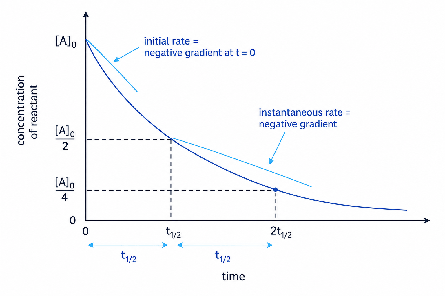Concentration-time graph showing initial rate, instantaneous rate and constant half-life