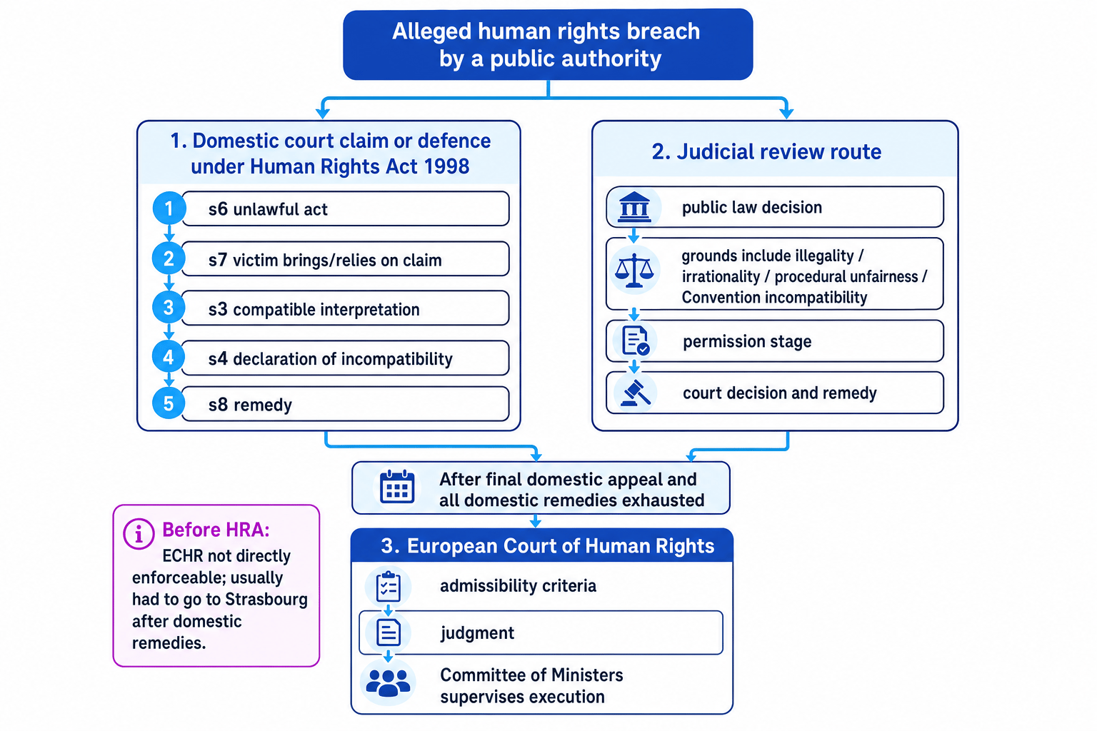 Flowchart showing domestic Human Rights Act claims, judicial review, and the route to the European Court of Human Rights