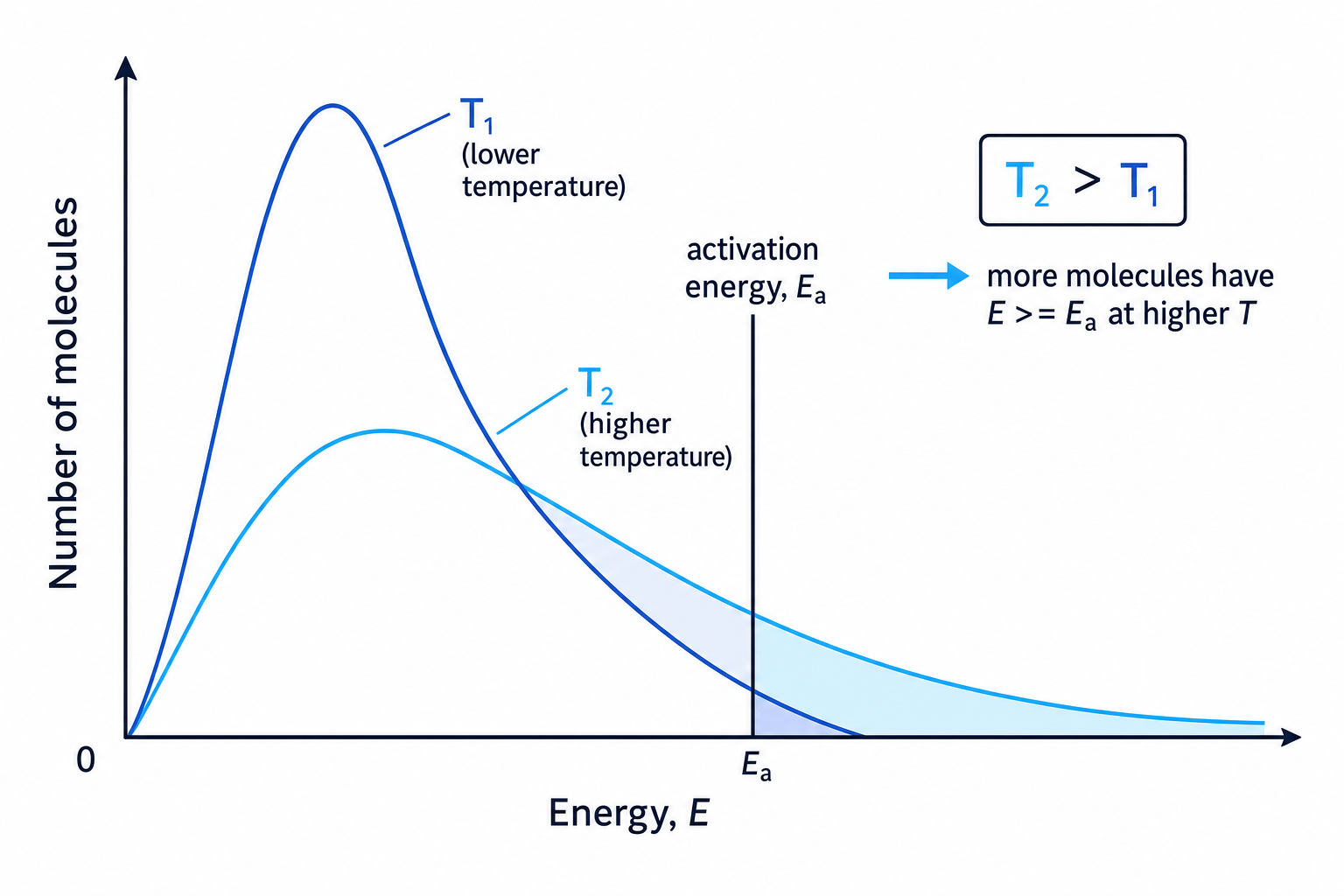 Maxwell–Boltzmann distribution curves at two temperatures with activation energy marked