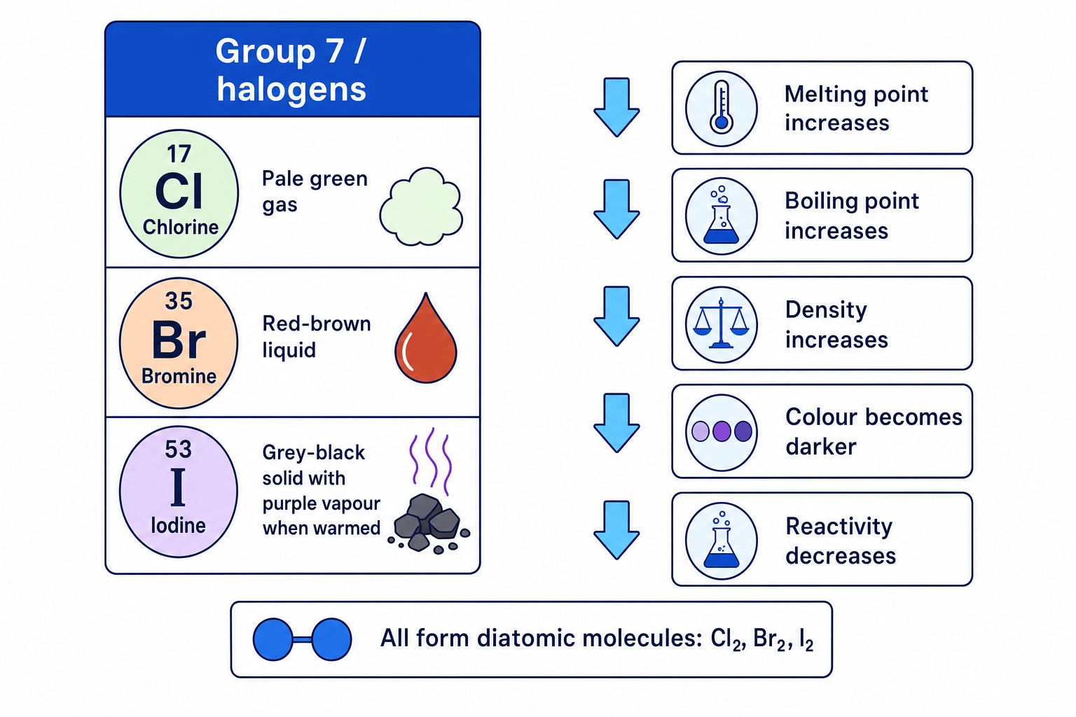 Group 7 halogen colours, states and trends