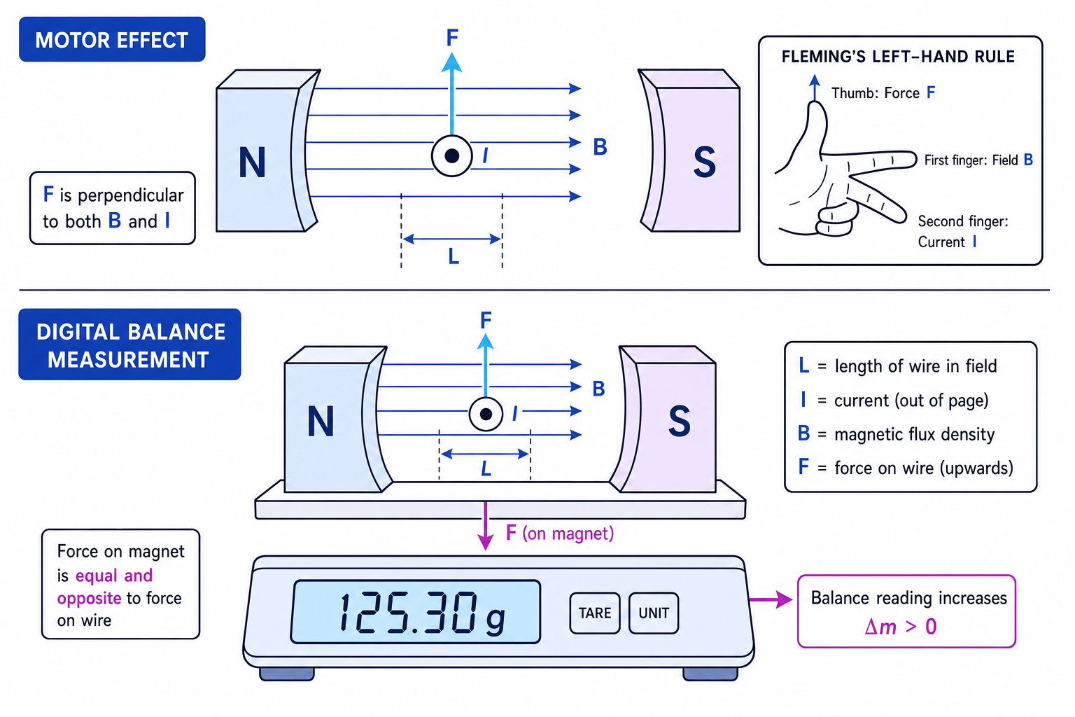 Motor effect and digital balance measurement of magnetic flux density