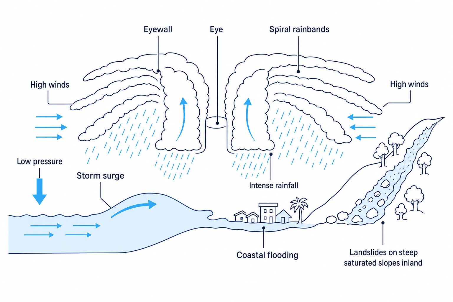 Cross-section showing tropical cyclone hazards at landfall