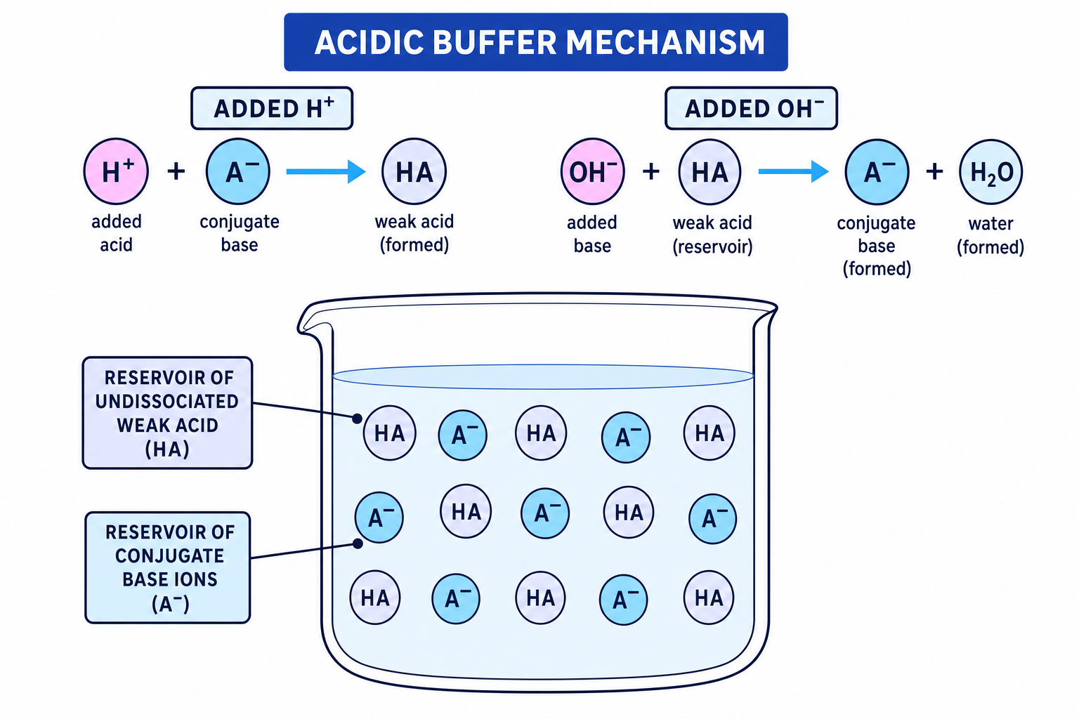 Acidic buffer mechanism