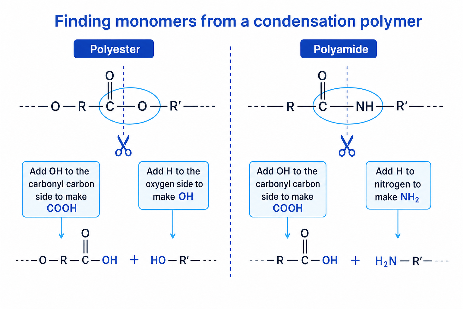 Schematic showing how to cut ester and amide linkages to recover monomers