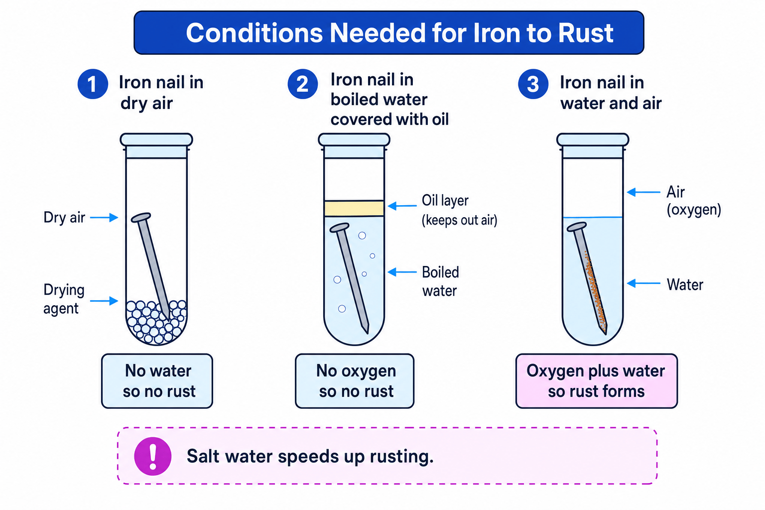 Test-tube investigation showing that iron rusts only when both oxygen and water are present