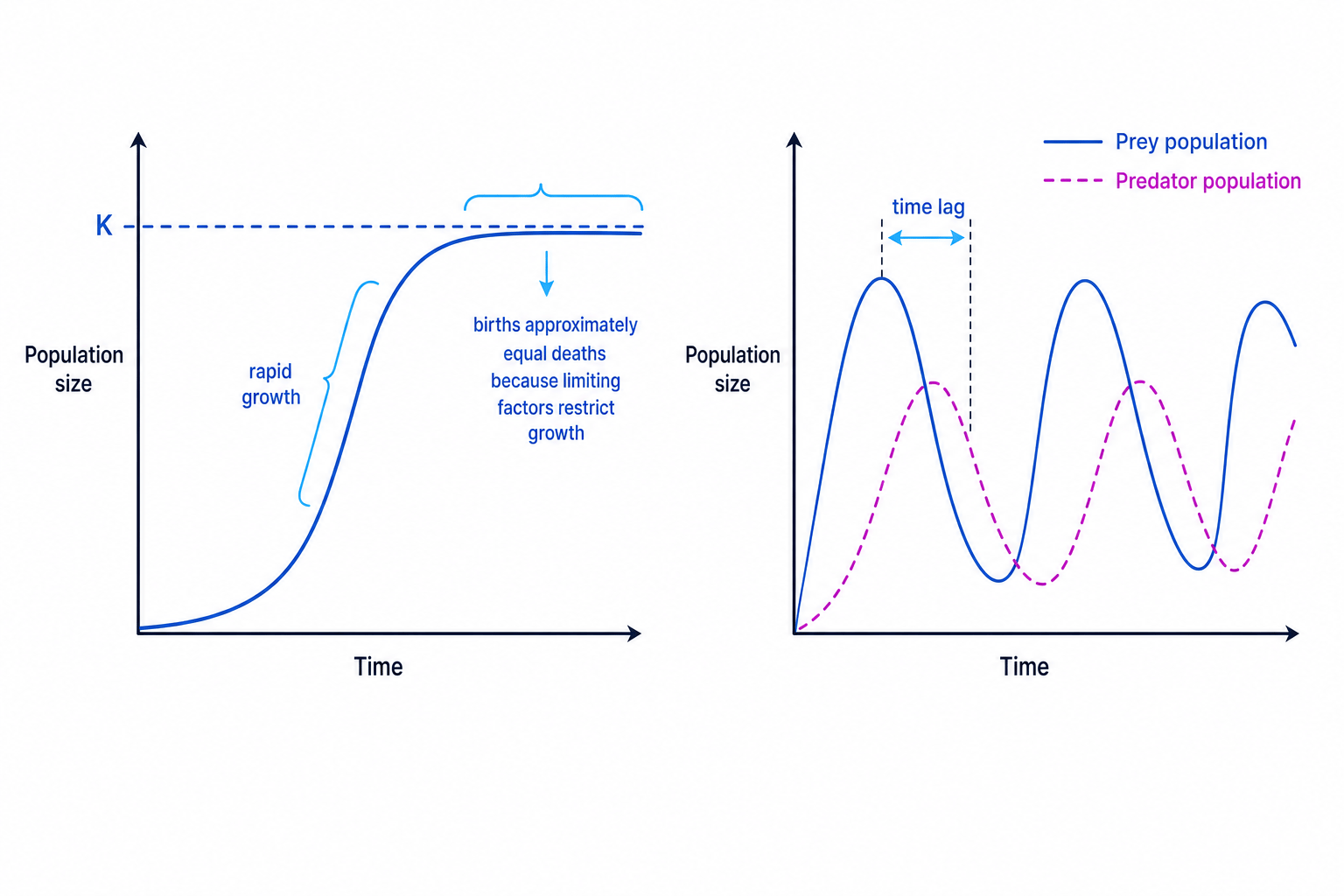 Sigmoid population growth and predator-prey cycles