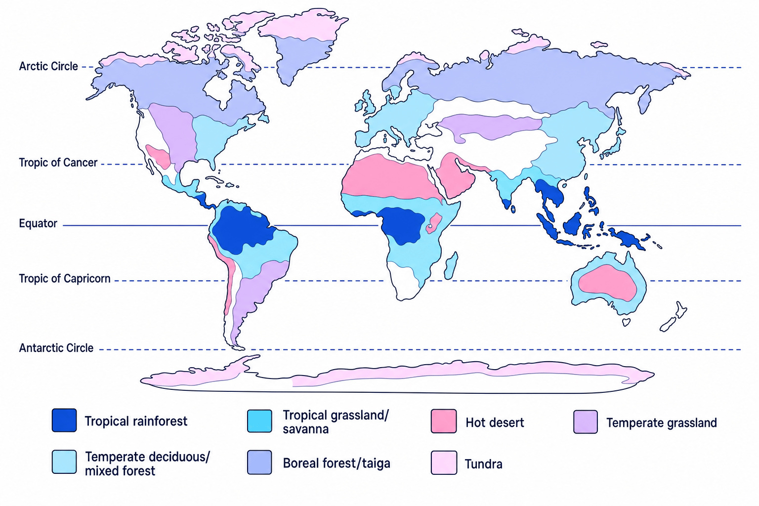 World map showing the distribution of major biomes including tropical rainforest, grasslands, deserts, temperate forests, boreal forest and tundra