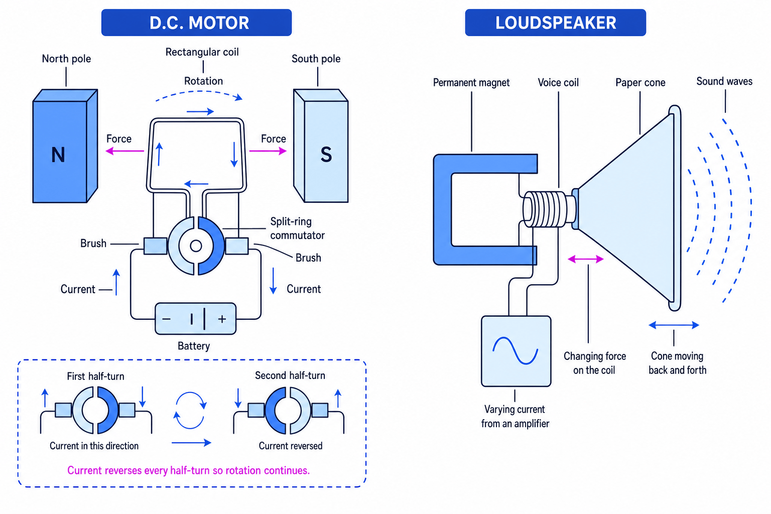 Simple d.c. motor and loudspeaker using the motor effect