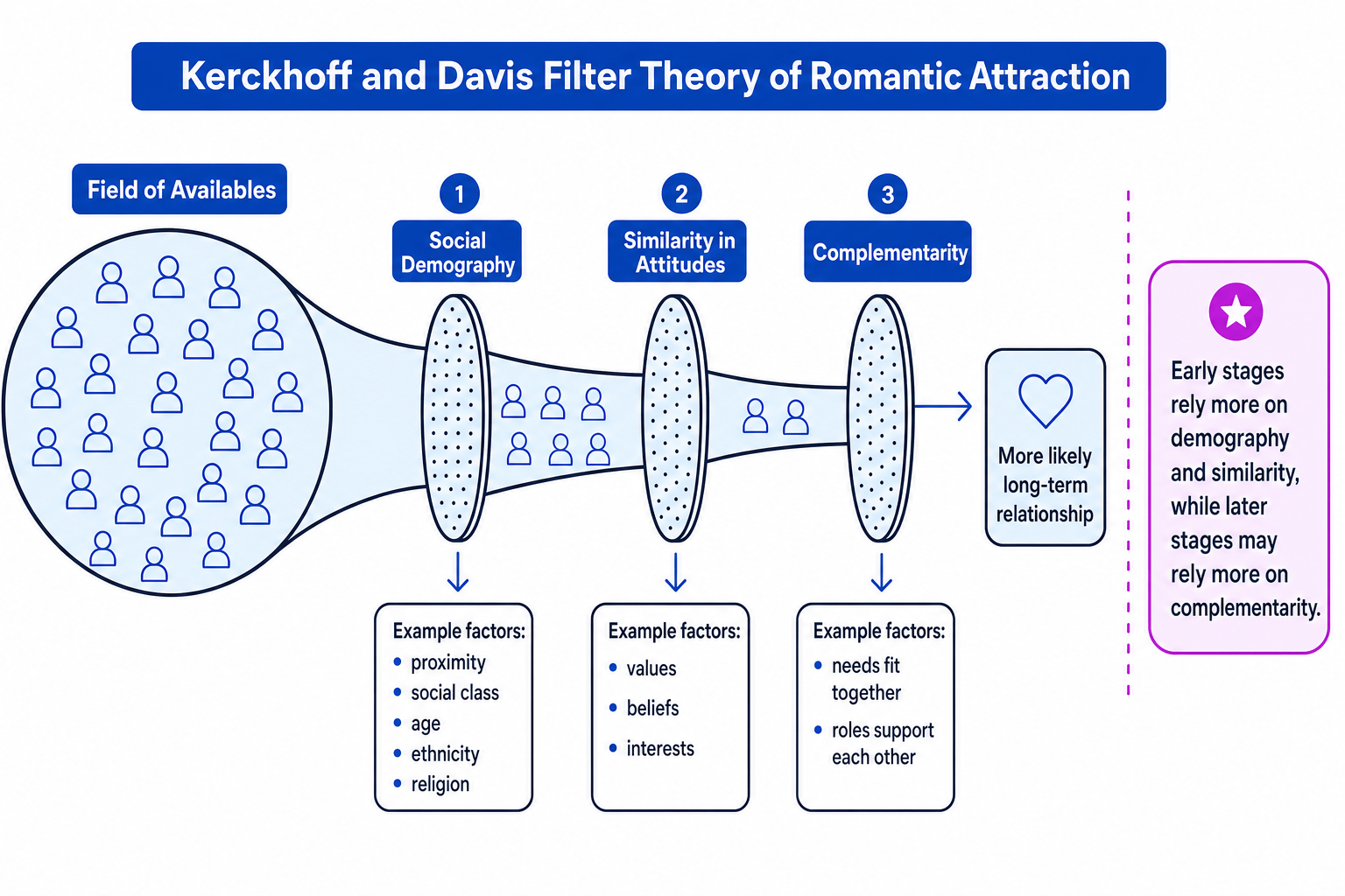 Diagram of Kerckhoff and Davis filter theory showing field of availables narrowing through social demography, similarity in attitudes and complementarity into a likely long-term relationship