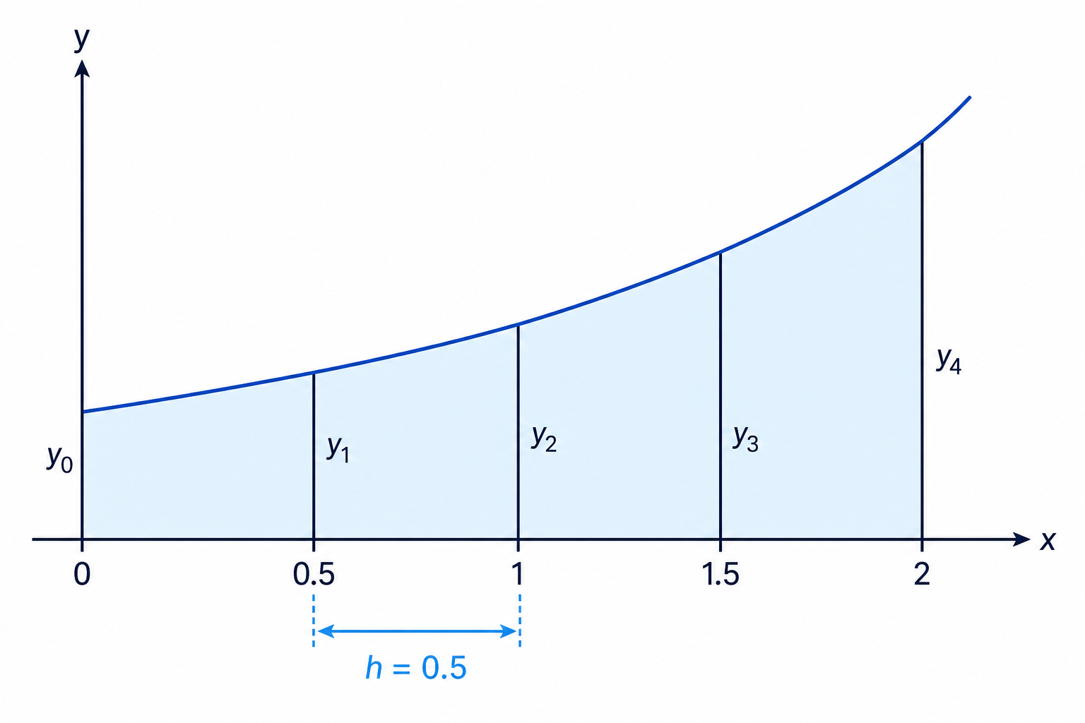 The trapezium rule replaces strips under a curve with trapezia whose parallel sides are the ordinates.