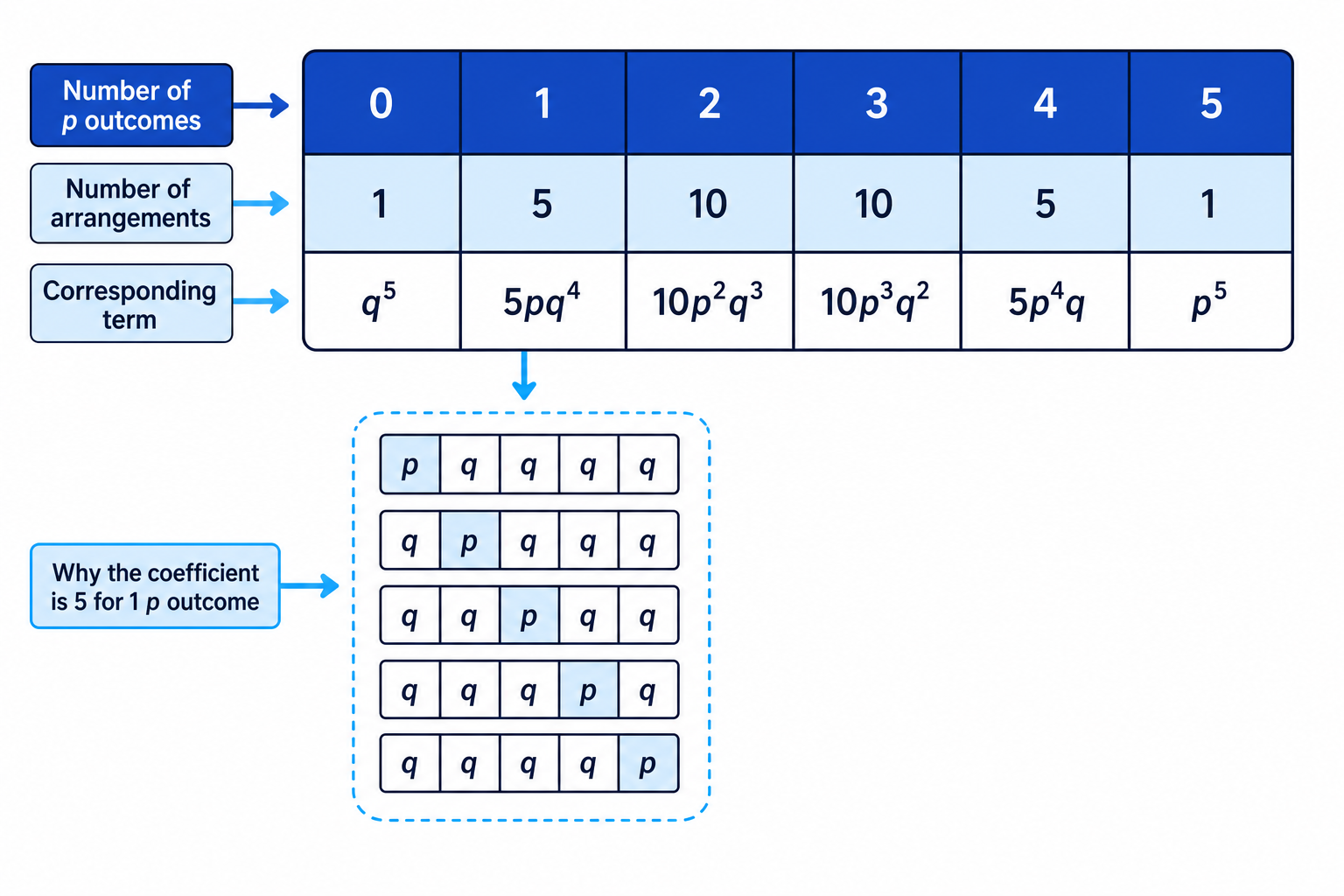The coefficients in (p+q)^5 count how many arrangements have each number of successes.