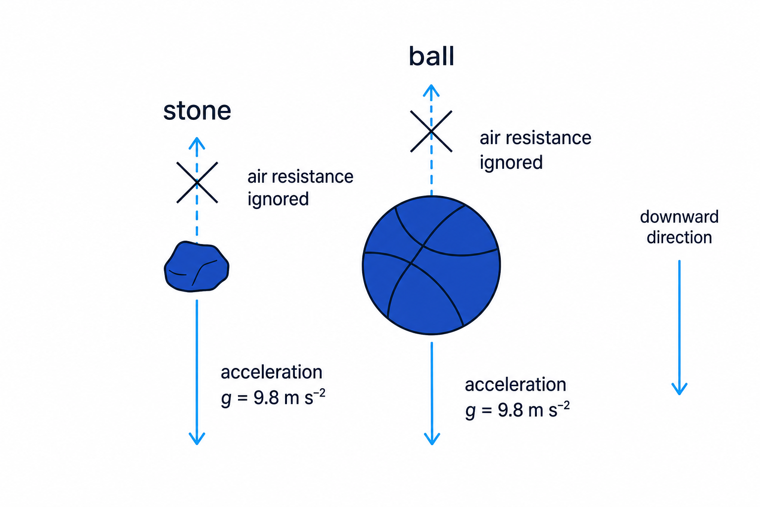 With air resistance ignored, two different objects in free fall have the same downward acceleration due to gravity.