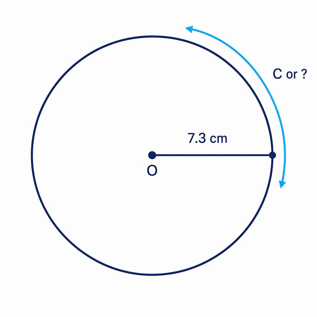Circular badge with radius 7.3 cm; the circumference is the distance around the outer edge.