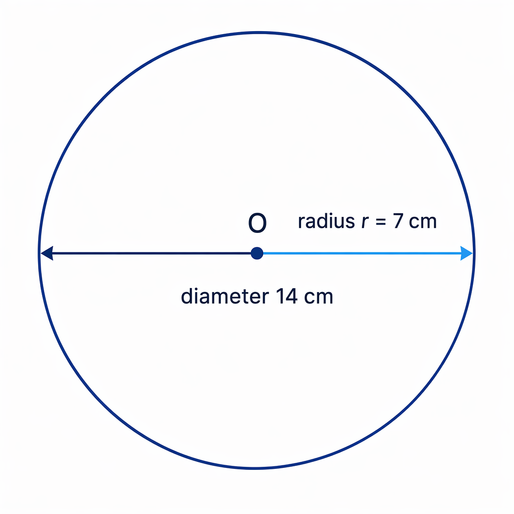 The radius is half of the diameter across the circular face.