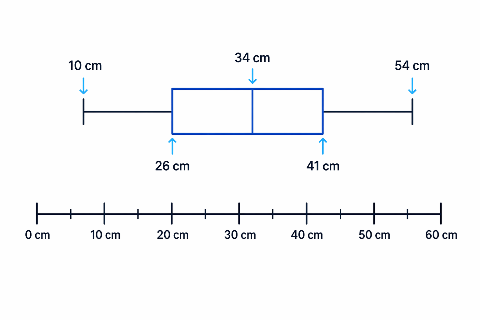 Sketch of the plant height box plot using the five given values on a 0 cm to 60 cm scale.