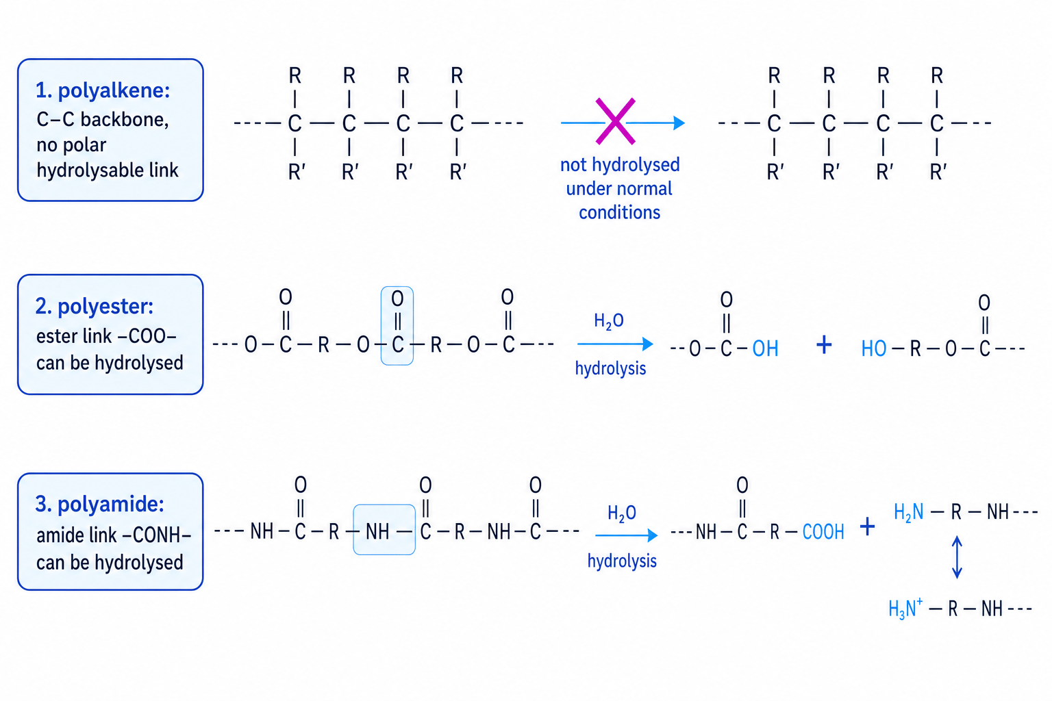 Comparison of polyalkene, polyester and polyamide backbones showing which links can be hydrolysed