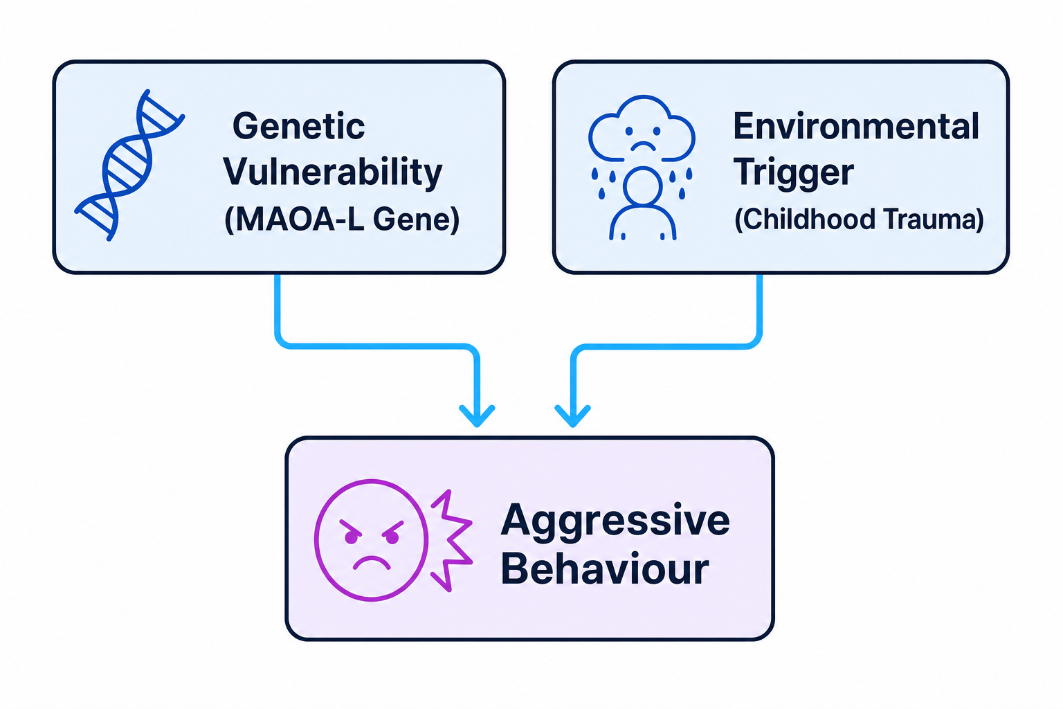 Diathesis-Stress Model