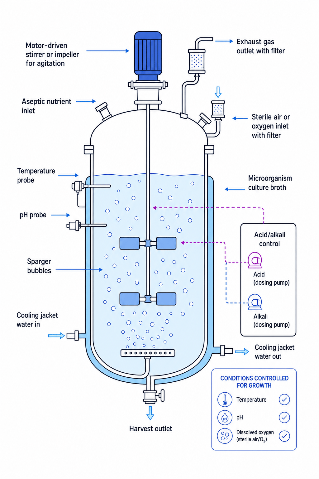 Labelled industrial fermenter showing aseptic nutrient inlet, sterile air inlet, stirrer, probes, cooling jacket and harvest outlet