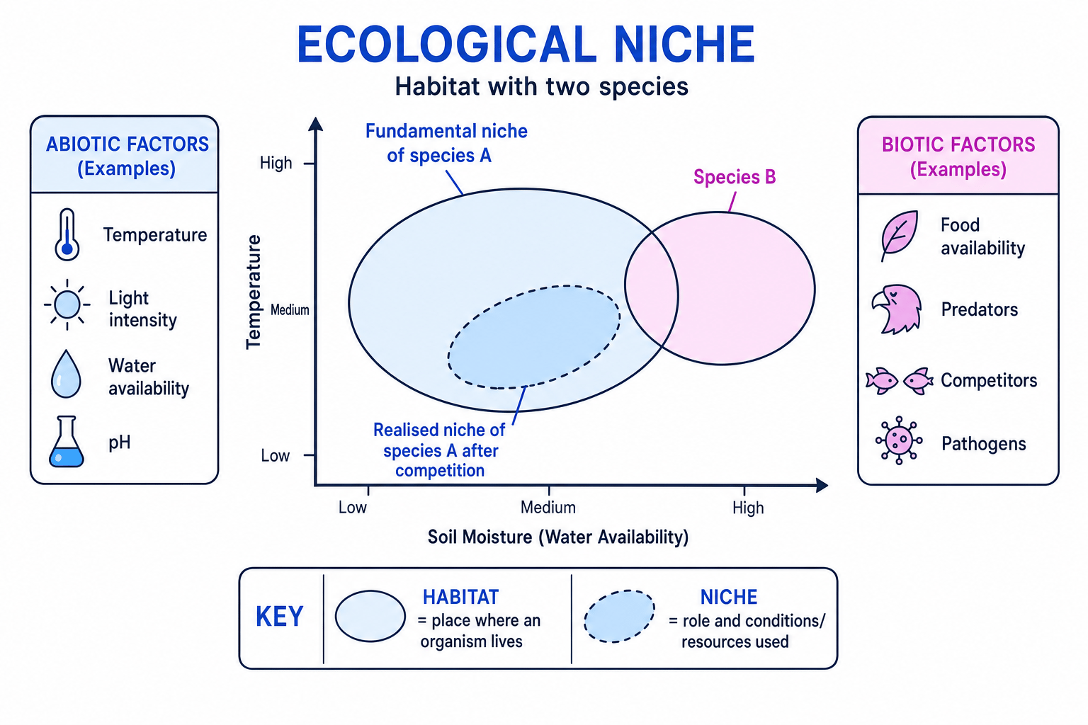 Ecological niche diagram showing habitat, abiotic factors, biotic factors, fundamental niche and realised niche