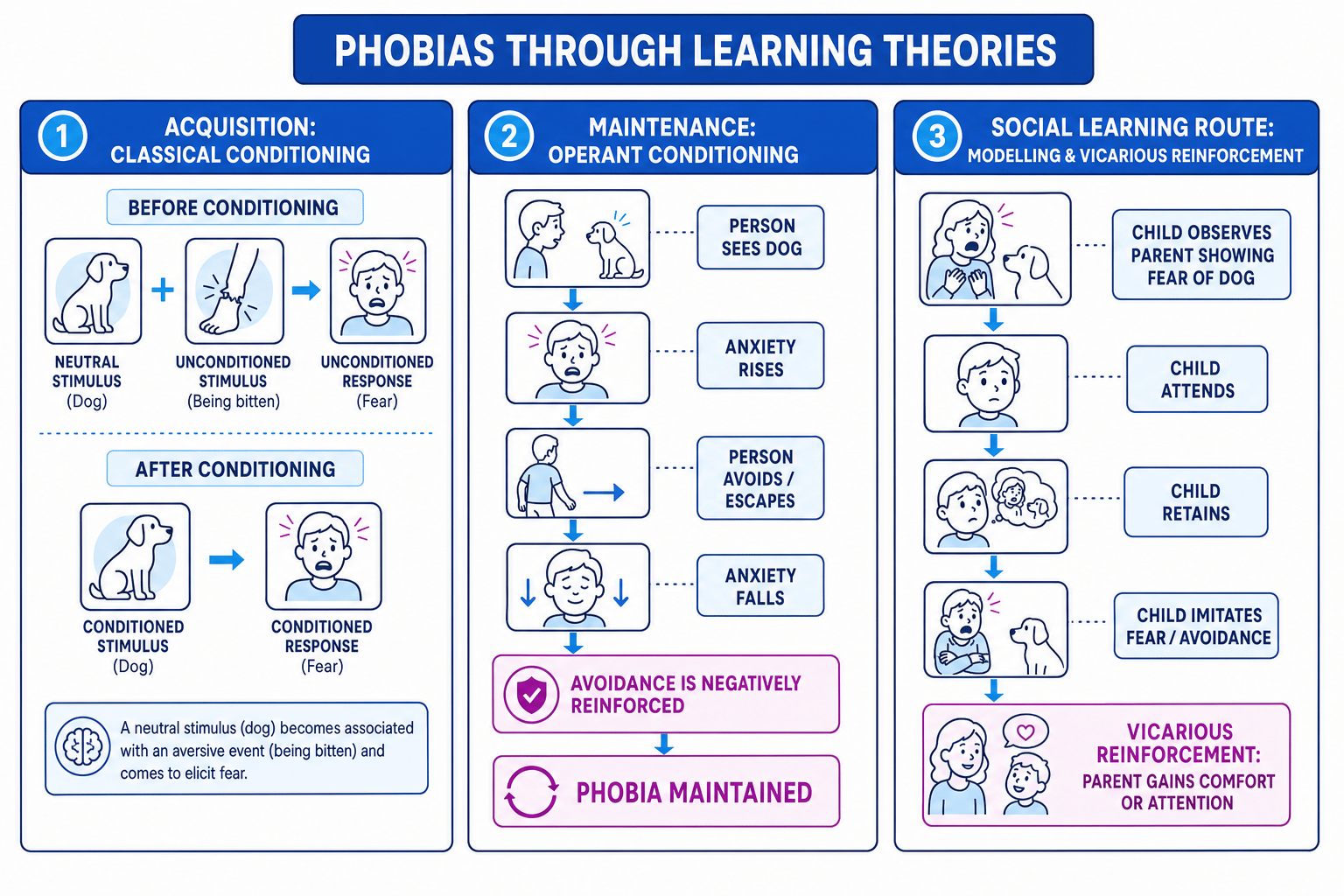 Schematic showing classical conditioning, operant conditioning and social learning explanations of phobias