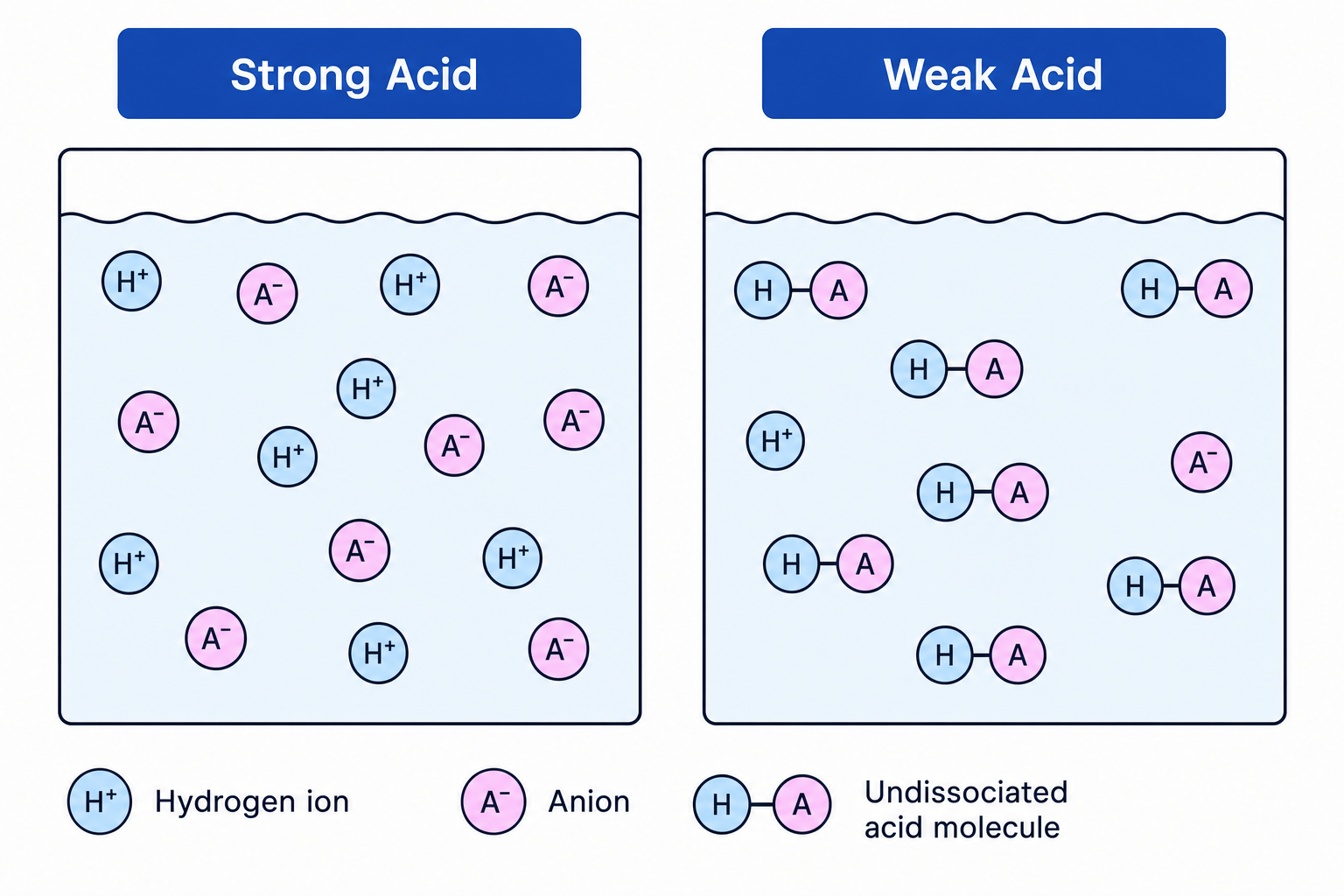 Strong vs Weak Acid Ionisation