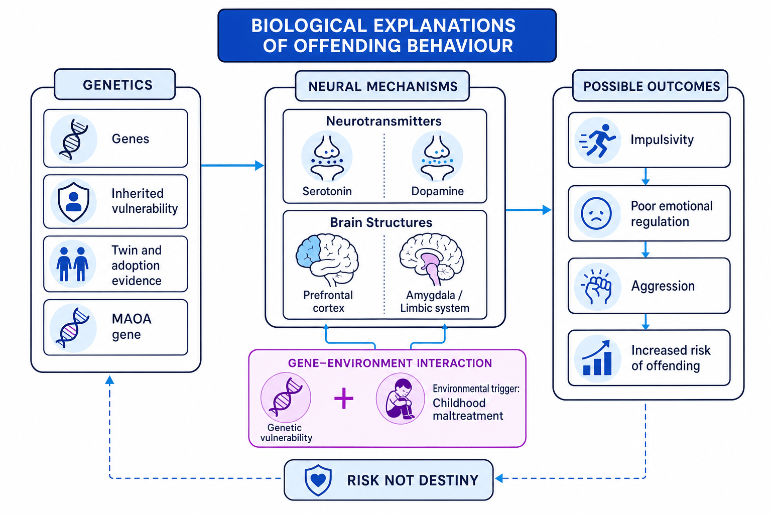 Schematic showing genetic vulnerability, neural mechanisms, gene-environment interaction, and risk of offending