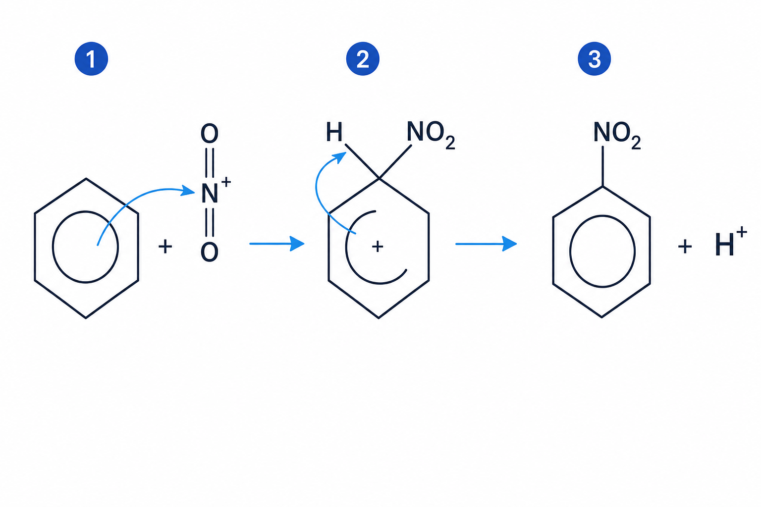Electrophilic Substitution Mechanism