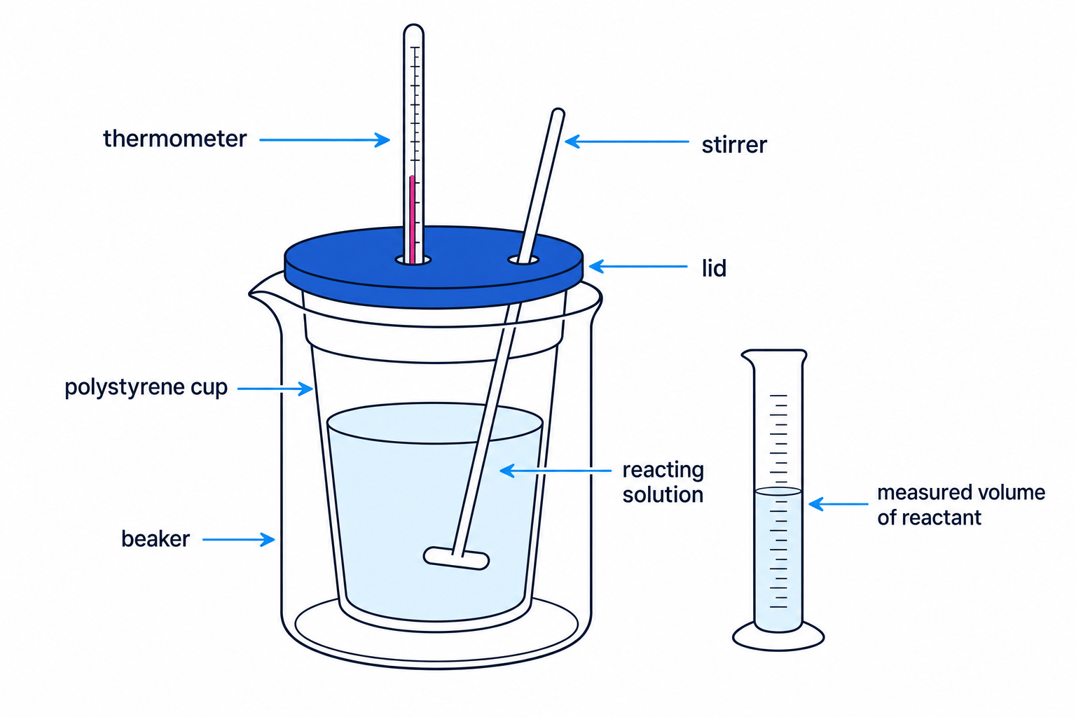Polystyrene cup calorimetry apparatus with thermometer, lid, stirrer and measured reactant volume