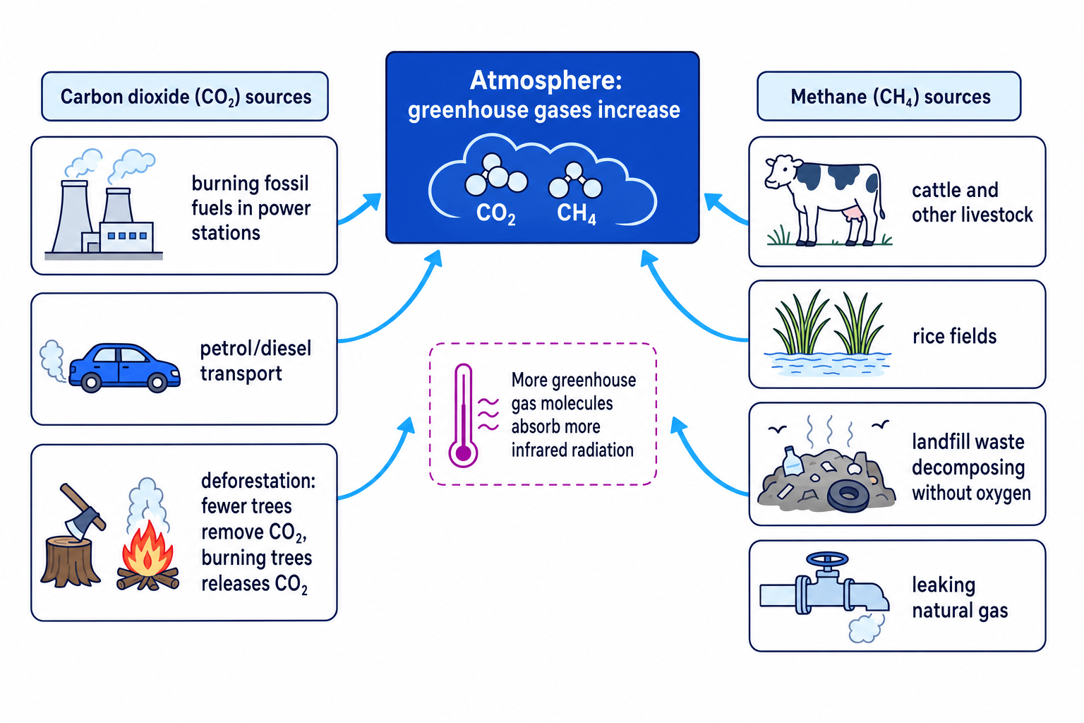 Flow diagram showing human activities that increase carbon dioxide and methane in the atmosphere