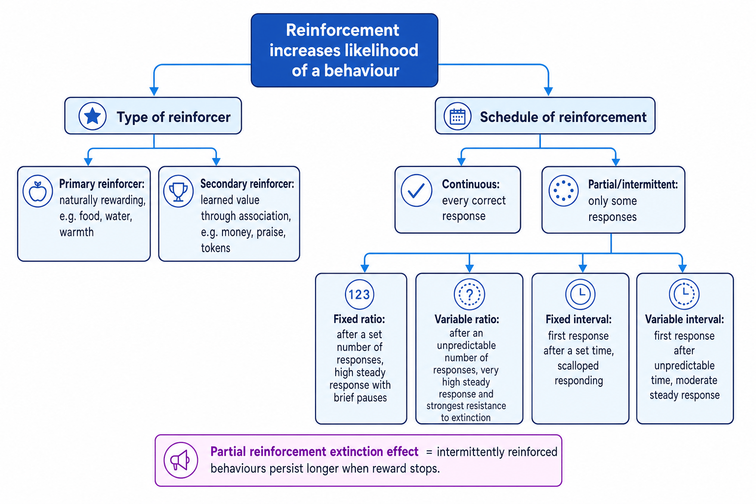 Diagram summarising primary and secondary reinforcers, continuous and partial schedules, and the four main partial schedules