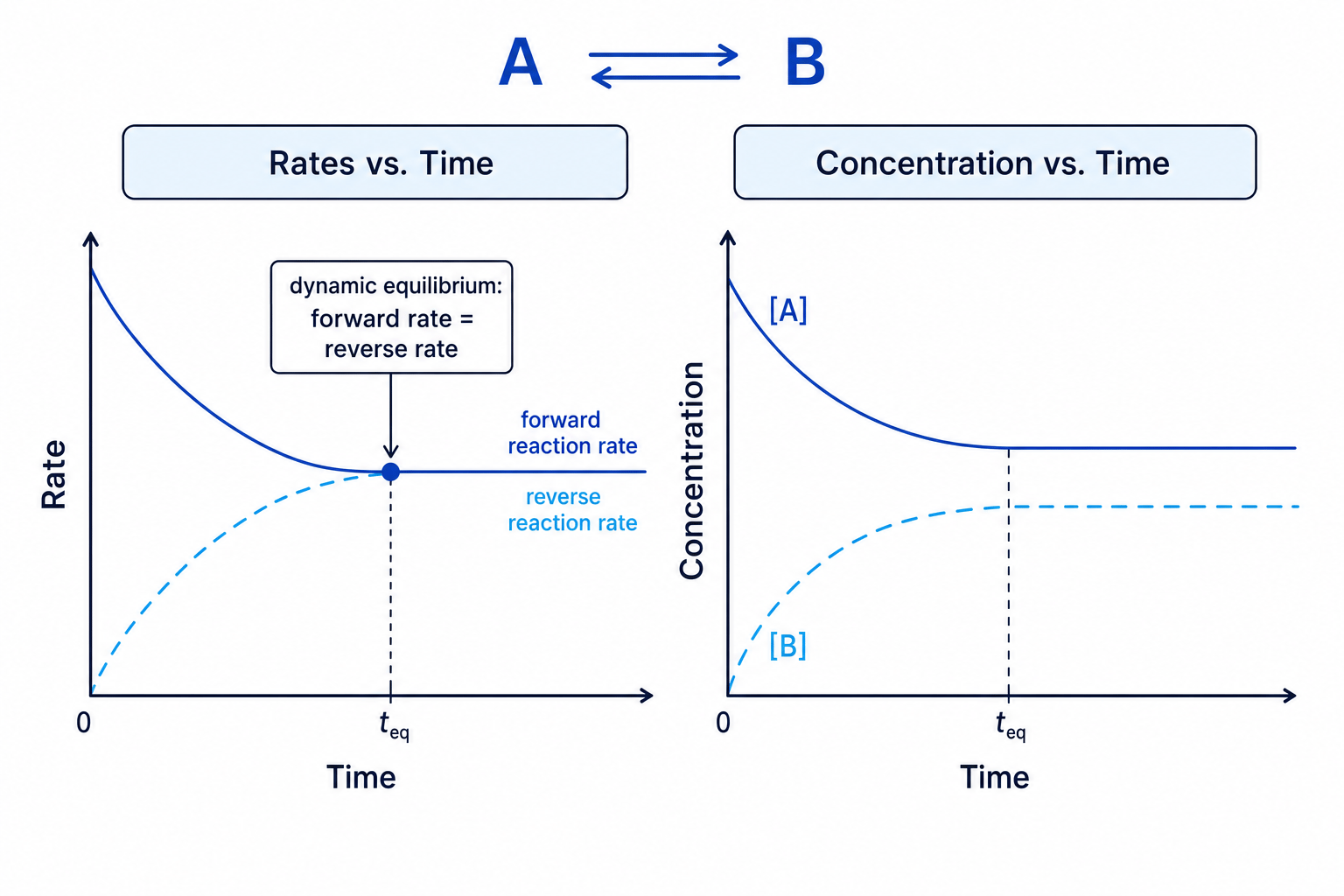 Rate and concentration graphs showing dynamic equilibrium