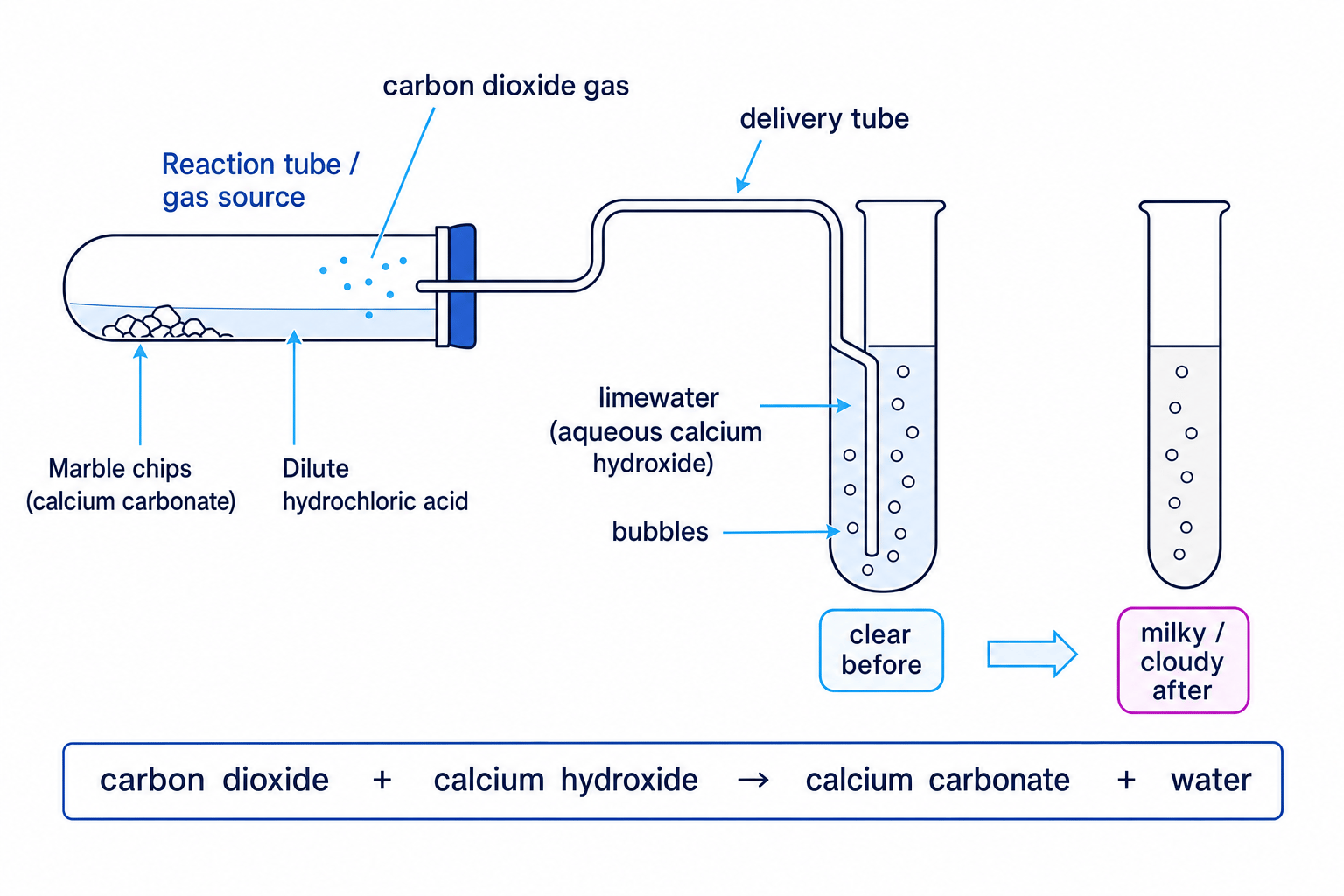 Schematic of carbon dioxide gas being bubbled through limewater and turning it cloudy