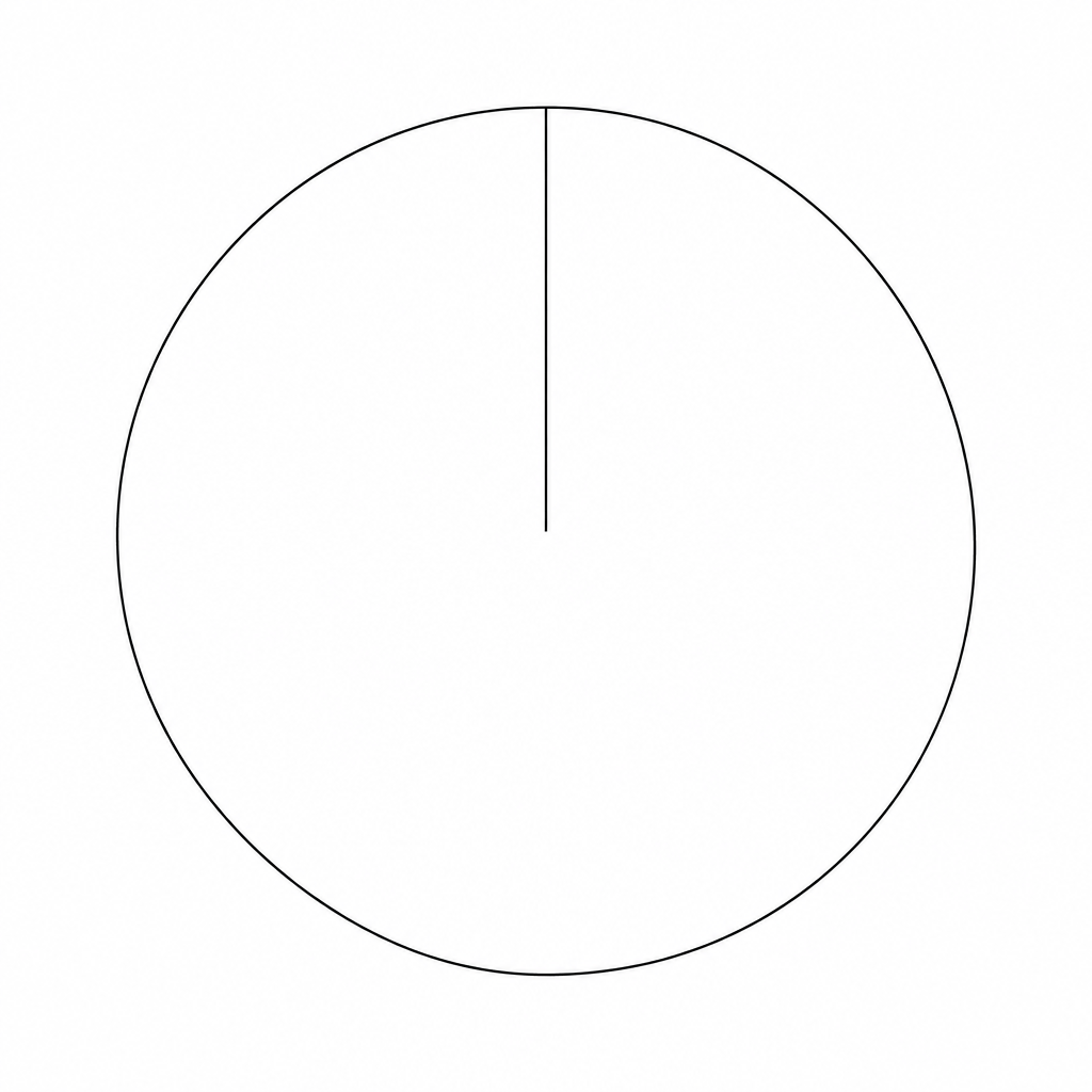 A blank circle for drawing a pie chart.