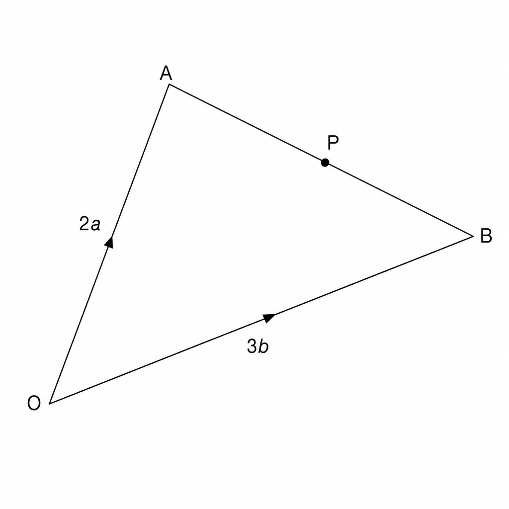 A vector diagram showing a triangle OAB. Vector OA is labeled 2a and vector OB is labeled 3b. Point P is on the line segment AB.