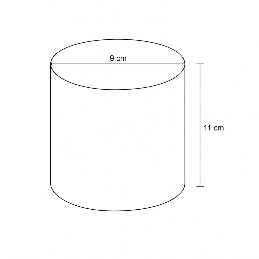 Diagram of a cylinder with diameter 9 cm and height 11 cm.