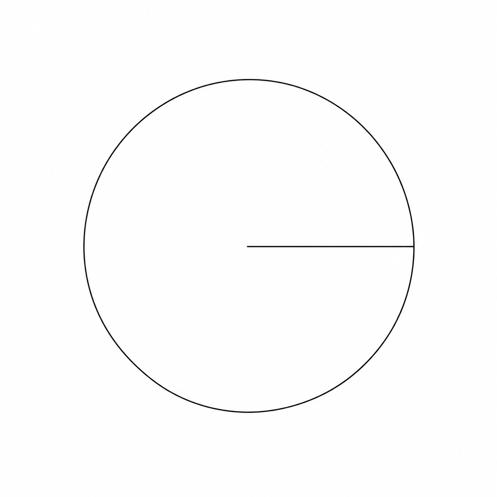 A circle with a radius line.