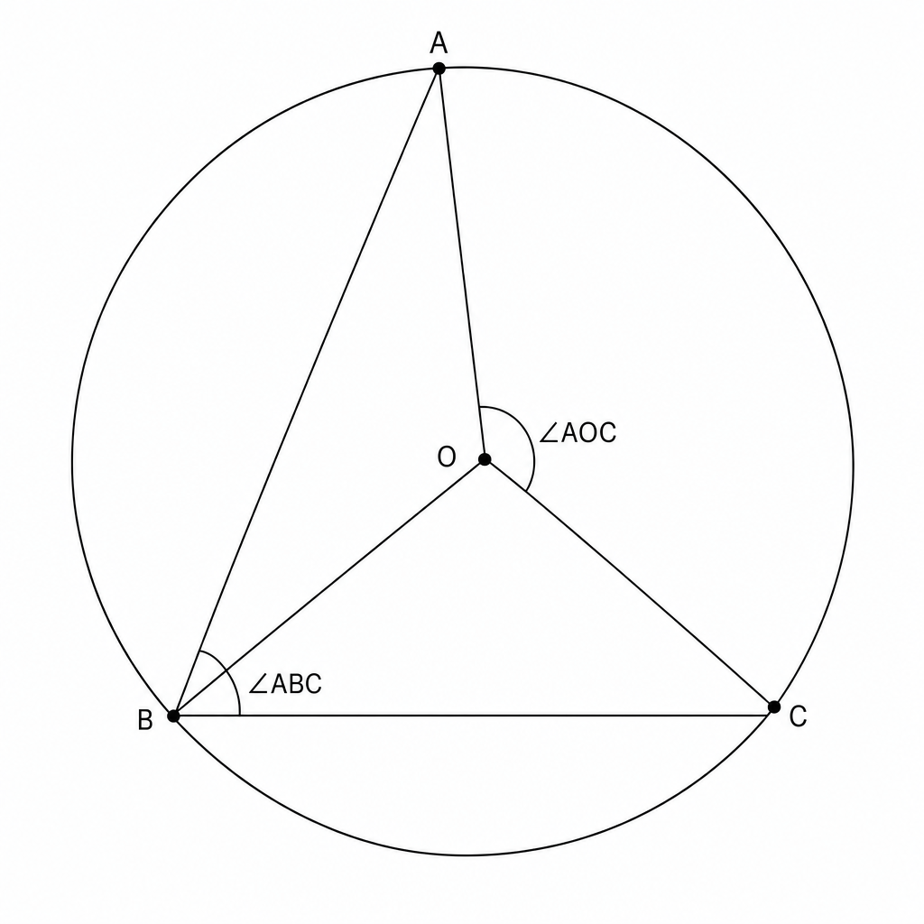 A diagram of a circle with center O. Points A, B, and C are on the circumference. Line segments OB, OA, and OC are drawn from the center to the points. Angle AOC is the central angle, and angle ABC is the inscribed angle subtending the same arc AC.