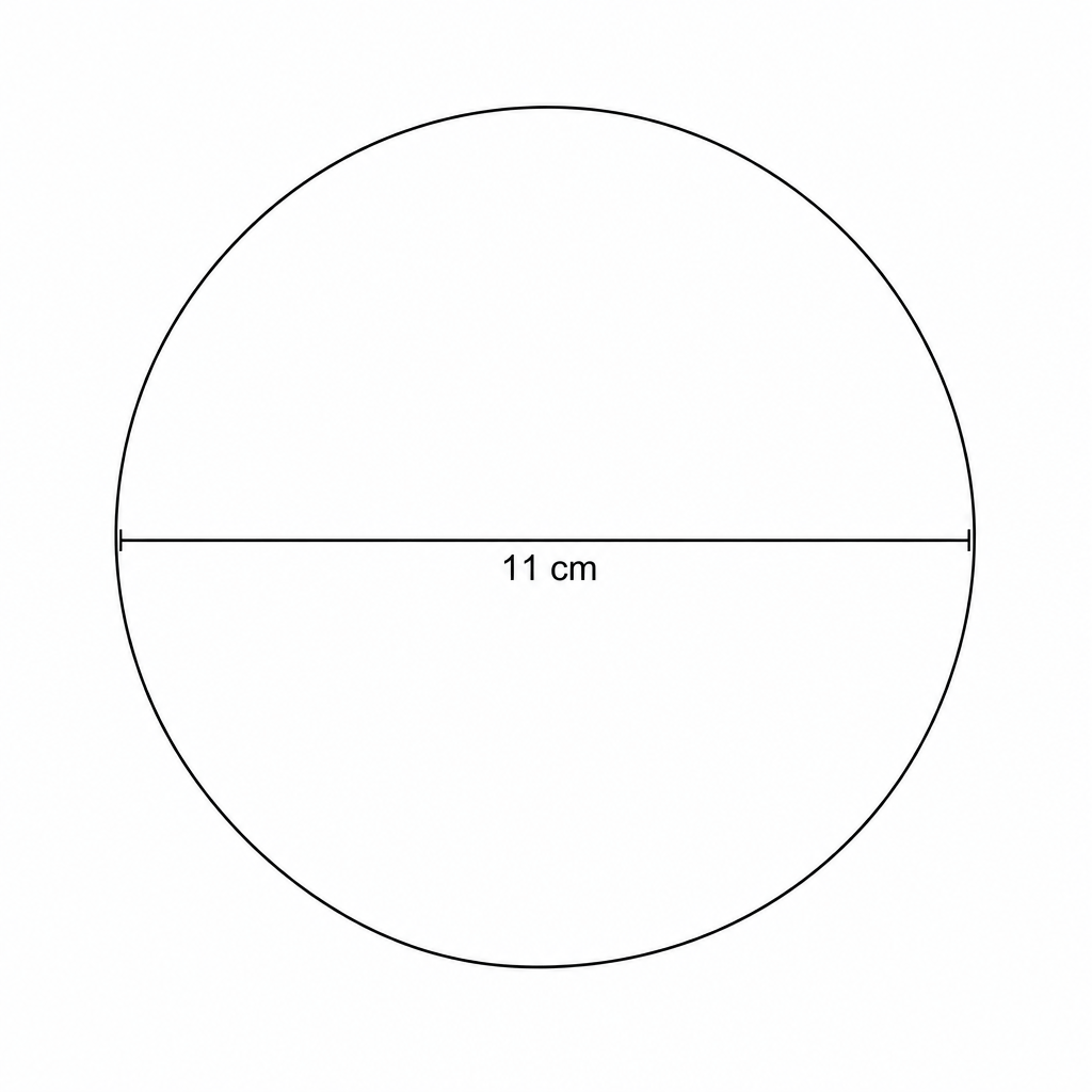 A circular mirror with a diameter of 11 cm.