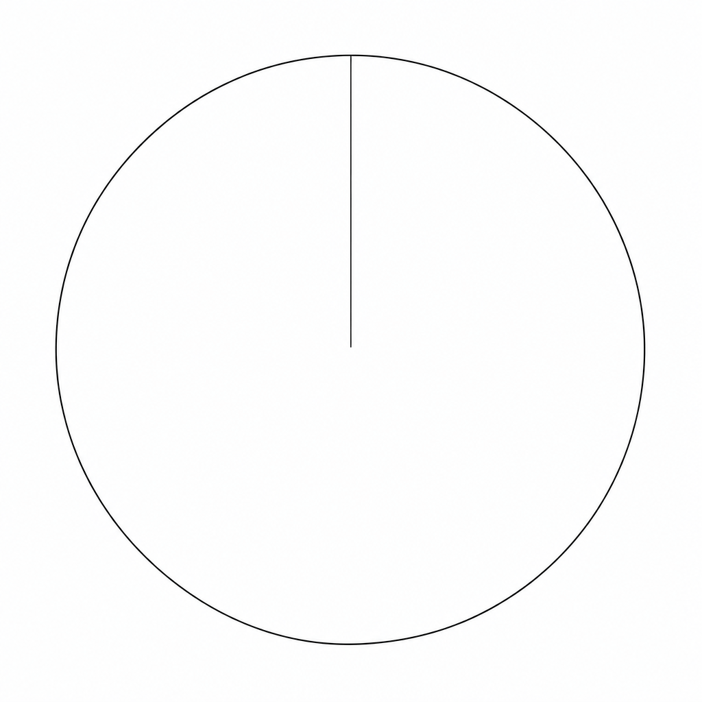 A blank circle for drawing a pie chart.