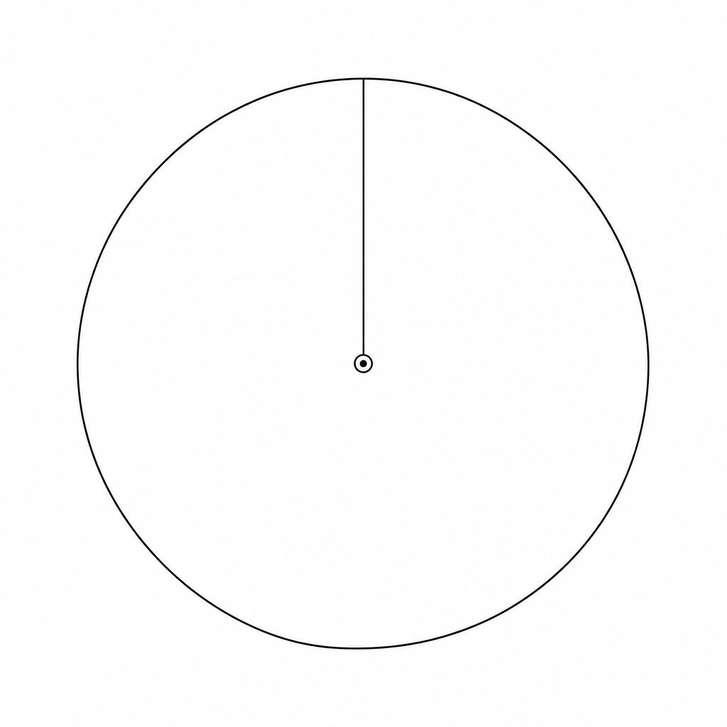 A blank circle for drawing a pie chart.