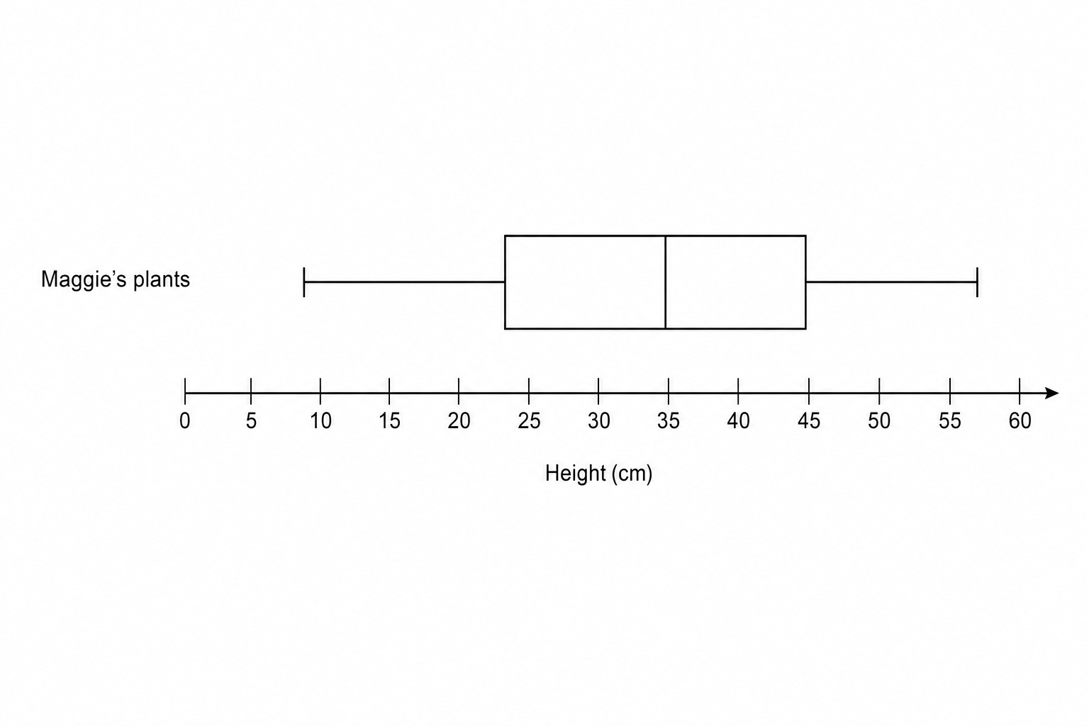 A blank box plot grid for Maggie's tomato plants.